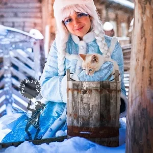 Дед Мороз и Снегурочка в Самаре на дом,  в школу,  в сад профессионально