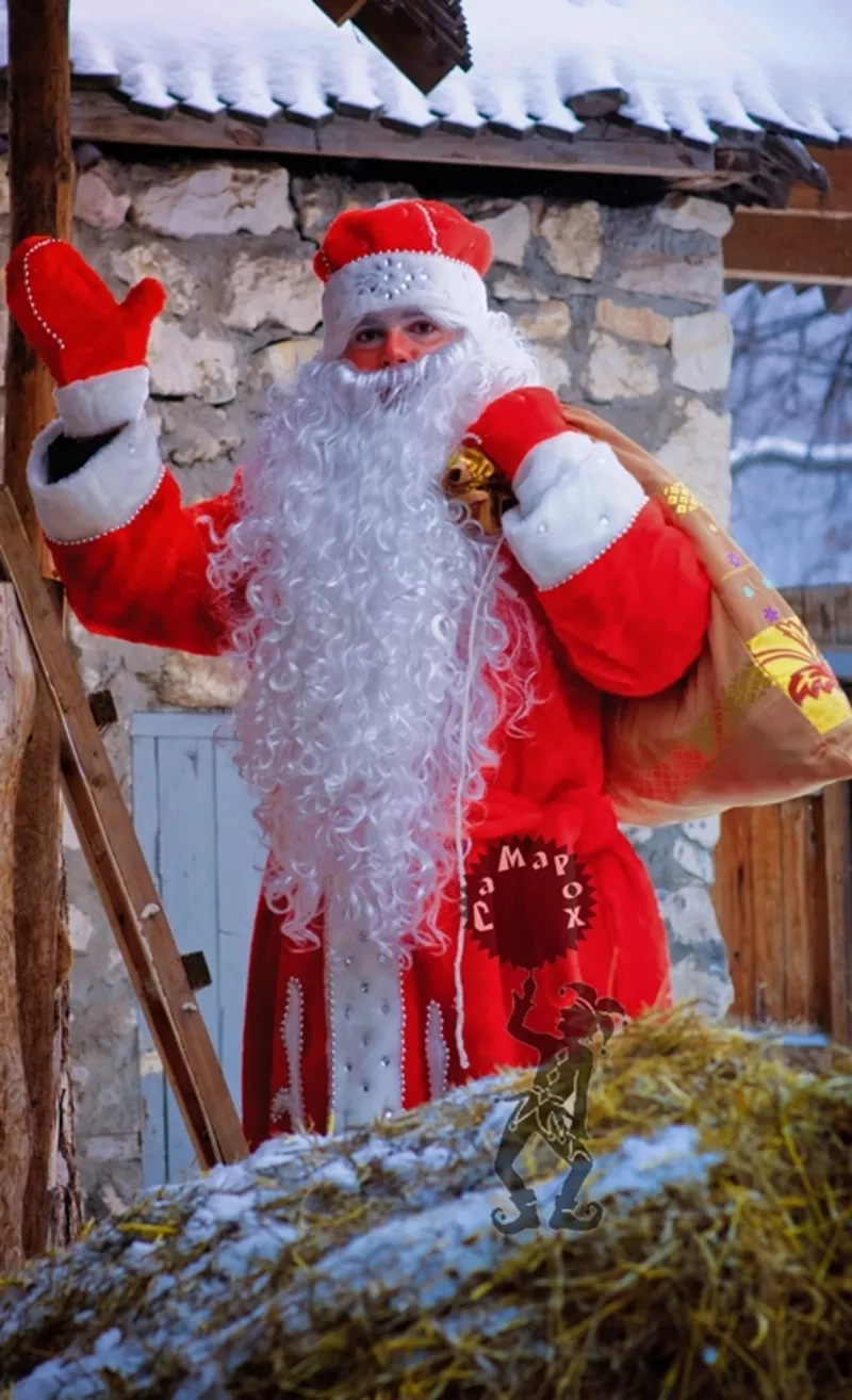 Дед Мороз и Снегурочка в Самаре на дом,  в школу,  в сад профессионально 5