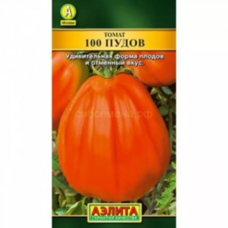 Продам семена томатов от сертифицированных производителей.  2
